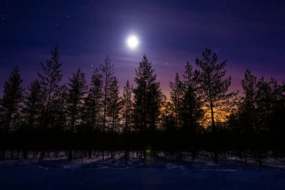 Silhouette trees on snow covered landscape against sky at night