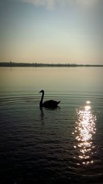 Scenic view of lake at sunset