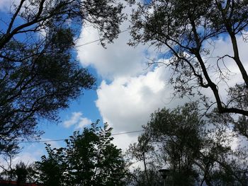 Low angle view of trees against cloudy sky