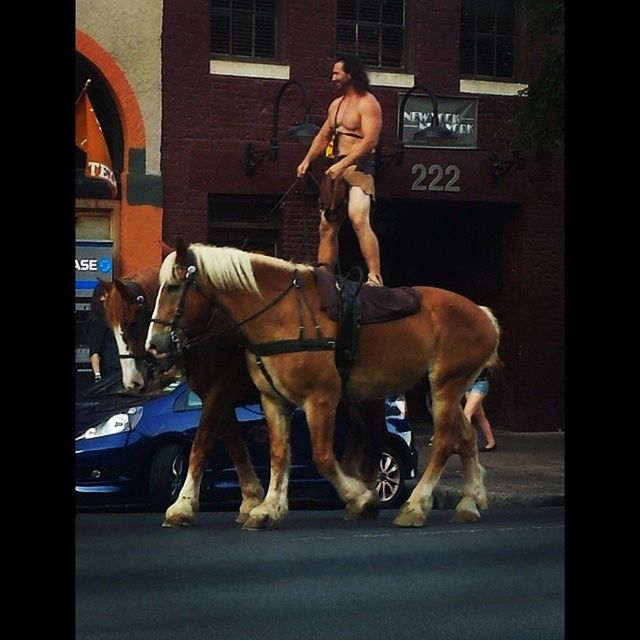 horse, men, full length, lifestyles, riding, leisure activity, animal themes, domestic animals, togetherness, young men, street, horseback riding, transportation, outdoors, motion, mammal, side view, building exterior