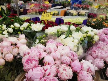 Pink flowers at market stall