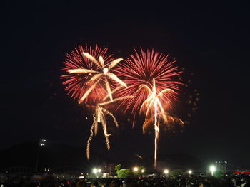 Low angle view of firework display at night