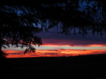 Silhouette trees on landscape against sky during sunset