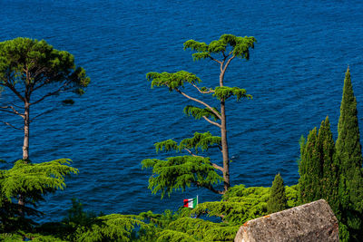 View of lake garda near malcesine in italy.