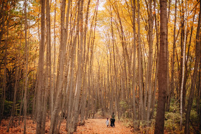 Man walking in forest during autumn