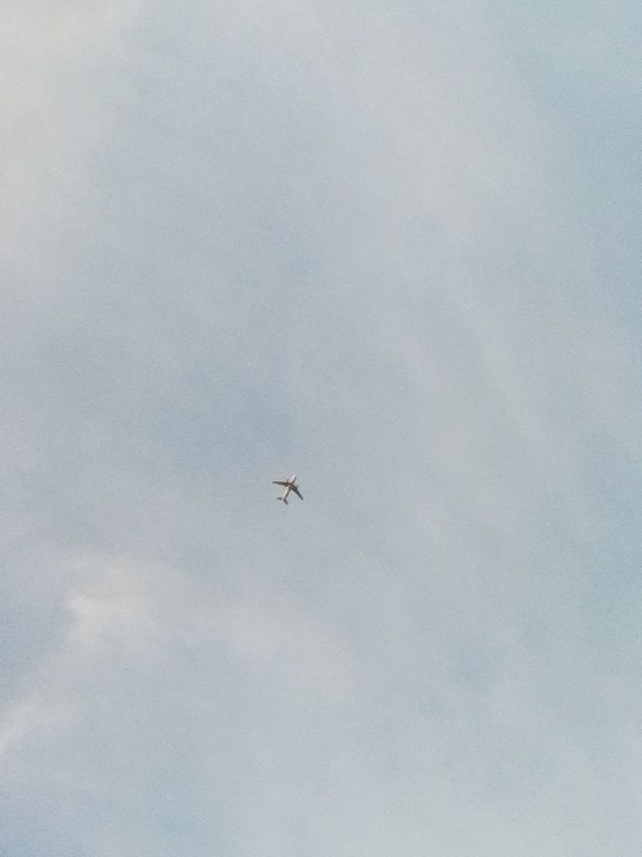 flying, low angle view, animal themes, animals in the wild, bird, one animal, wildlife, sky, mid-air, spread wings, cloud - sky, nature, outdoors, beauty in nature, day, no people, copy space, cloud, silhouette, tranquility