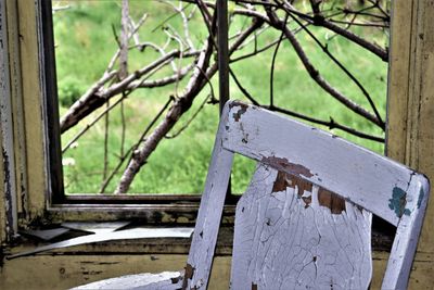 Close-up of broken tree trunk