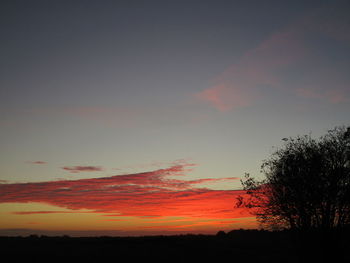 Silhouette trees against dramatic sky during sunset