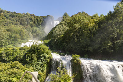 Scenic view of waterfall in forest