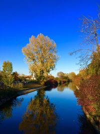 Reflection of trees in lake against blue sky