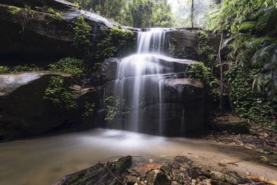 View of waterfall in forest