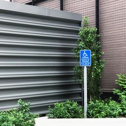 Close-up of plants against building