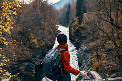 Rear view of man looking at forest