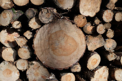 Full frame shot of firewood