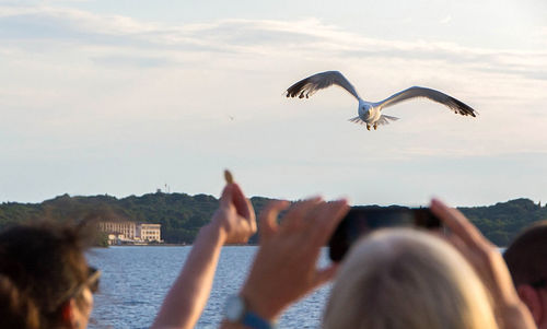 Low angle view of seagulls flying against sky