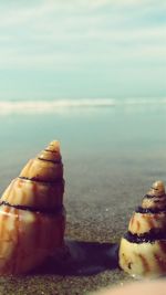 Close-up of dessert in sea against sky