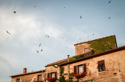 Low angle view of birds flying in building
