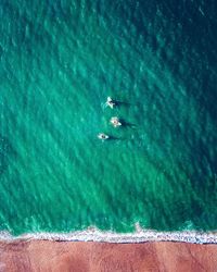 Aerial view of people canoeing on sea