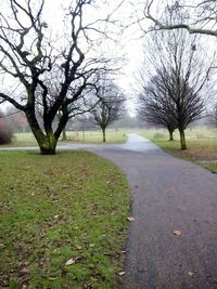 Road amidst bare trees on field against sky