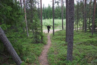 Rear view of man on dirt road amidst trees in forest