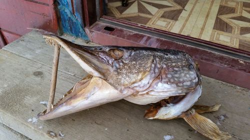 High angle view of fish for sale