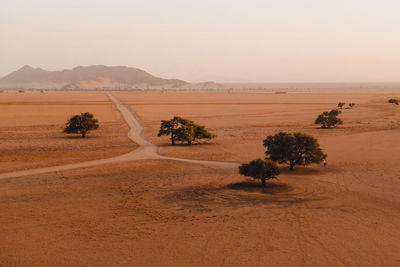 Scenic view of desert against sky