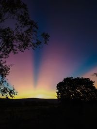 Silhouette trees against sky during sunset