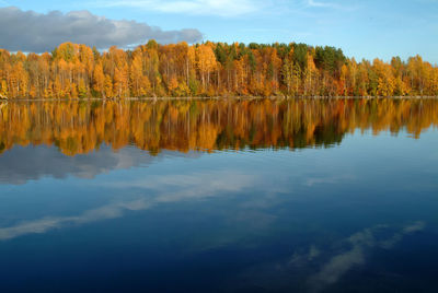 Reflection of trees in lake against sky