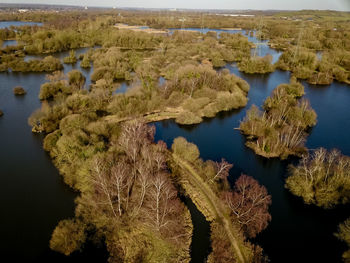 High angle view of lake along plants