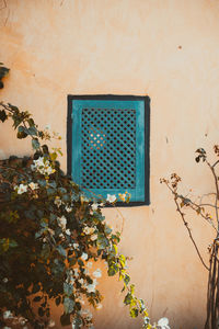 Low angle view of tree