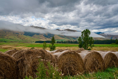 Hay bales on field against sky