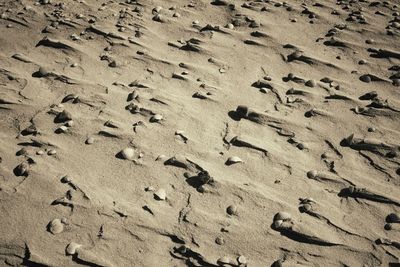 High angle view of footprints on sand