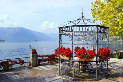 Scenic view of red and table by plants against sky