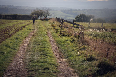 Rear view of mature man walking on field against sky