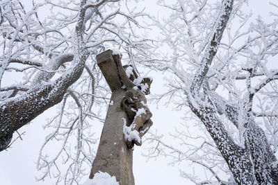 Low angle view of snow covered bare tree against sky