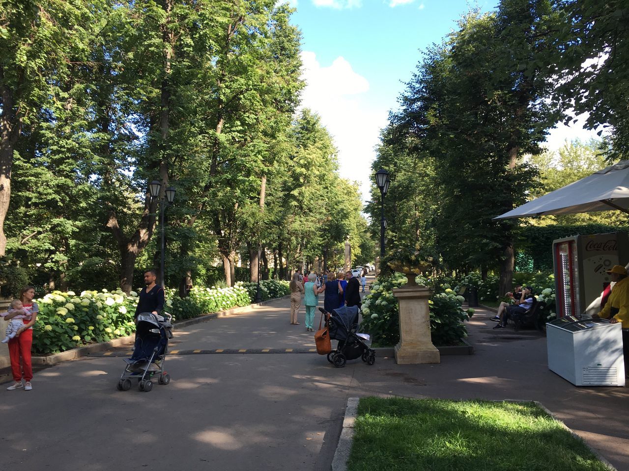 tree, lifestyles, the way forward, leisure activity, road, sky, treelined, footpath, growth, sunlight, day, green color, outdoors, casual clothing, medium group of people, group of people, city, diminishing perspective, city life, nature, tree trunk