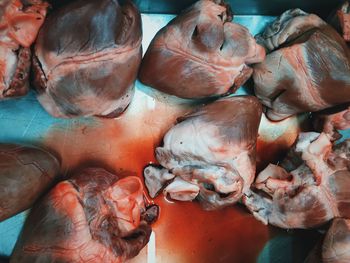 Directly above shot of pig hearts in container