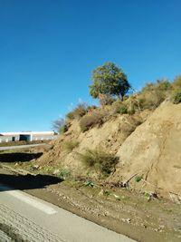 Trees on landscape against clear blue sky