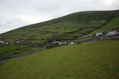 Scenic view of green landscape against sky