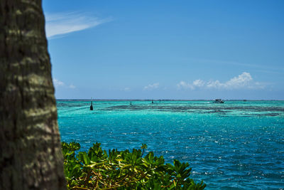 Scenic view of sea against blue sky