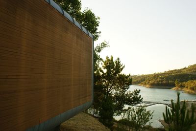 Reflection of trees in water