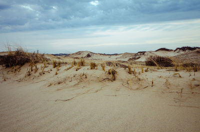 Scenic view of desert against sky