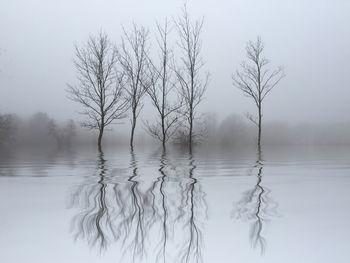 Scenic view of lake during foggy weather