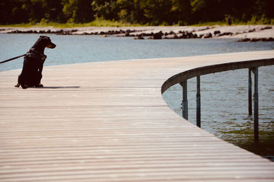 Surface level of pier over lake