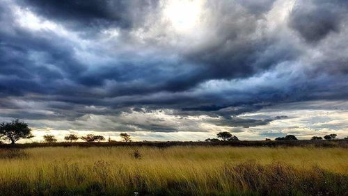 Scenic view of field against storm clouds