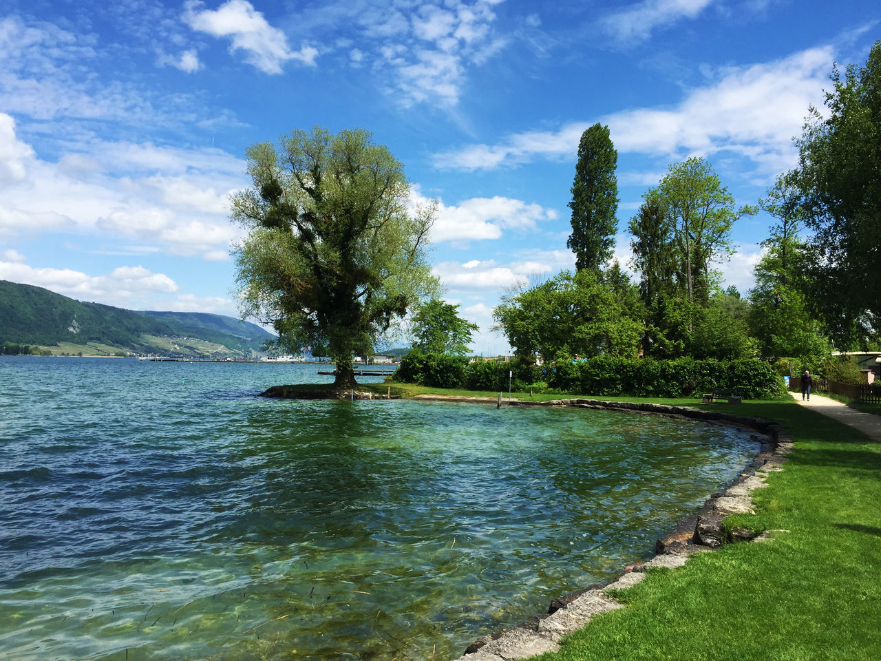 TREES BY LAKE AGAINST SKY