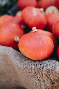 Close-up of pumpkins