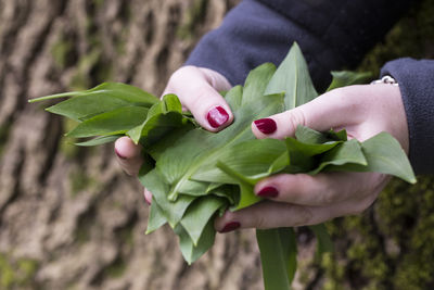 Close-up midsection of woman holding leaves