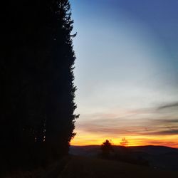 Silhouette trees on field against sky at sunset