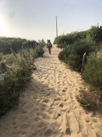 Rear view of woman walking on sand amidst plants against sky